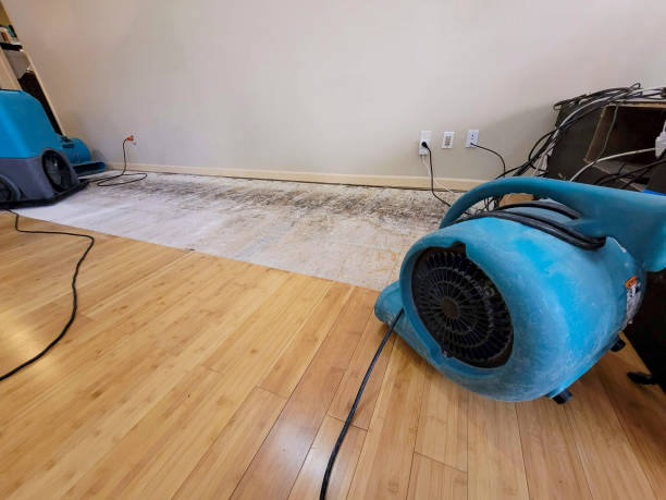 Professional Structural Drying technician working in Sudan, TX